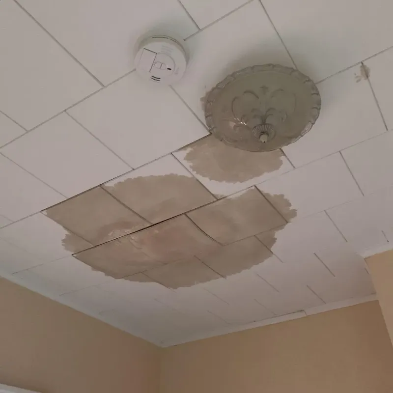 Ceiling Water Damage Repair in Mount Pleasant, NC