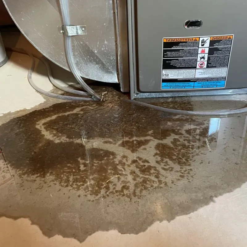 Pipe Burst and Leak Restoration in Mount Pleasant, NC