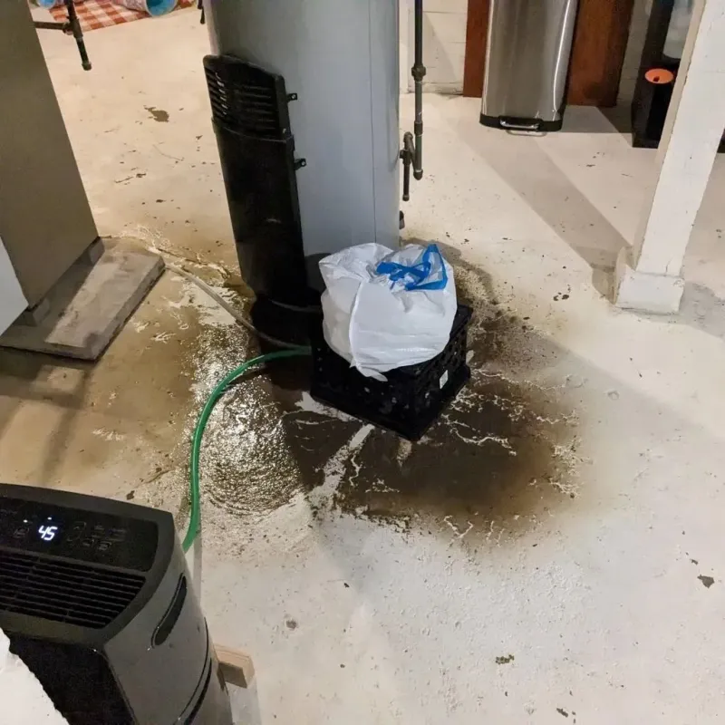 Sewage Backup Cleanup Service in Mount Pleasant, NC